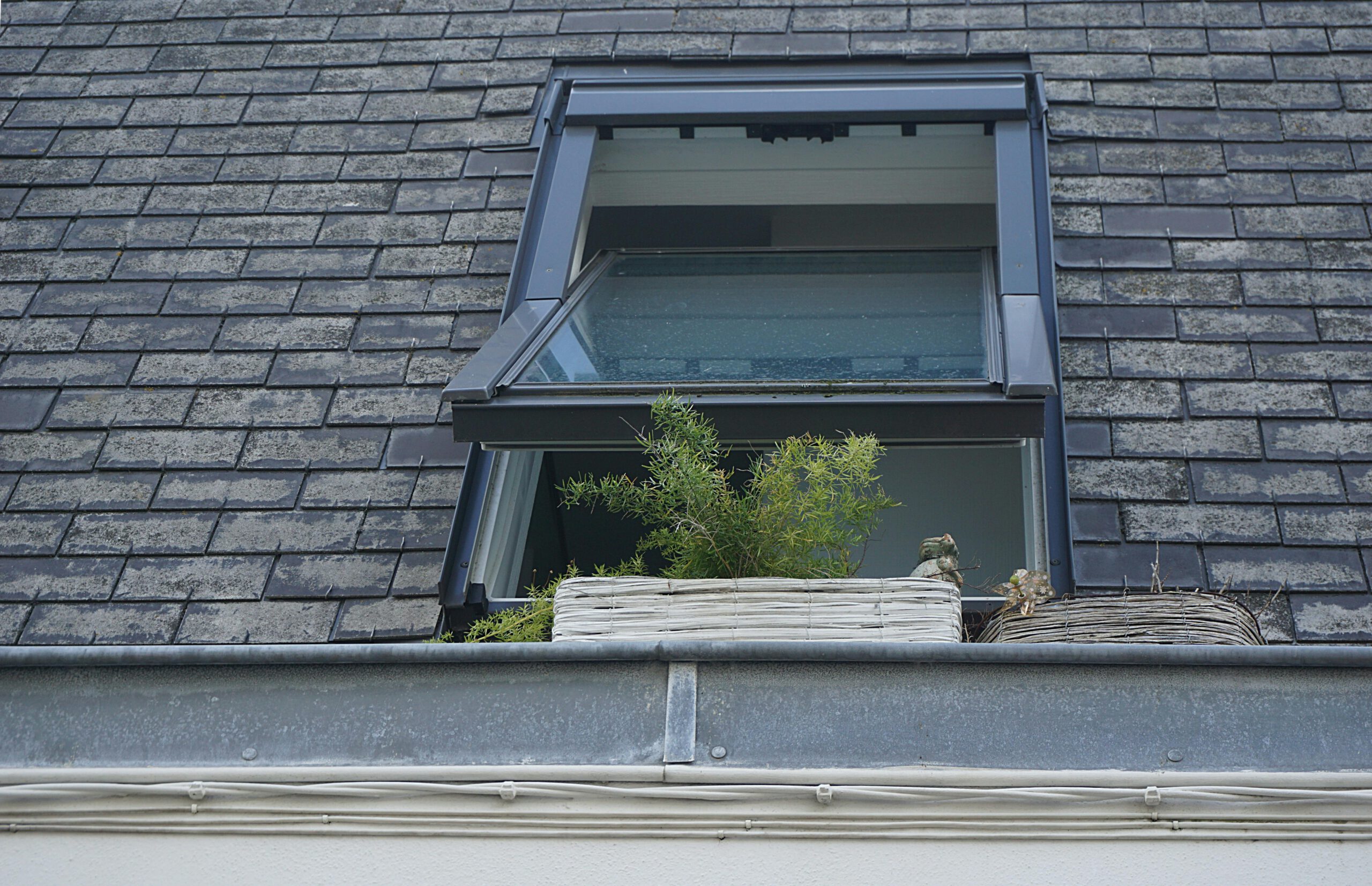 Blue Spruce Exteriors Announces Enhanced Services Among Denver Roofing Companies